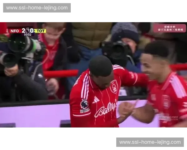 诺维奇vs埃弗顿：英超保级大战，绿茵场上的生死时速